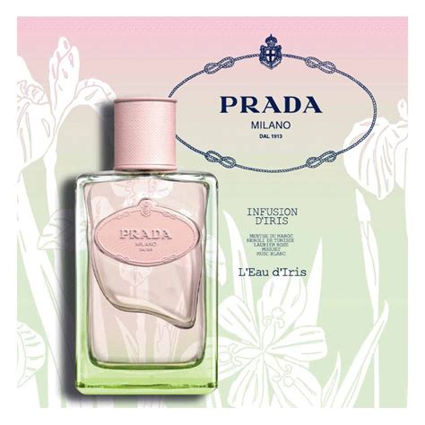 prada perfume iris infusion|prada infusion d'iris reviews.